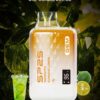 116.jpg SP2S GEM 9000 PUFFS 拋棄式一次性霧化