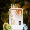 117.jpg SP2S GEM 9000 PUFFS 拋棄式一次性霧化