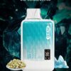 118.jpg SP2S GEM 9000 PUFFS 拋棄式一次性霧化