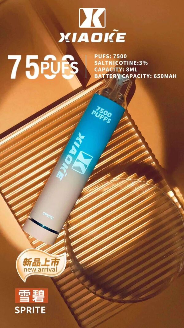 XIAOKE 7500 PUFFS 梟客棄式抛電子煙 一次性霧化桿推薦·