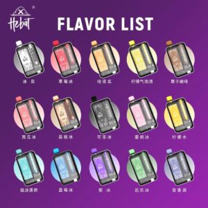 Hebat 10000 puffs 拋棄式