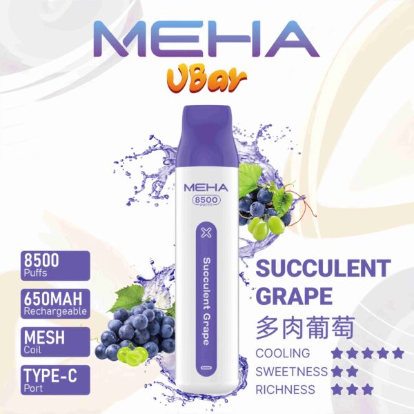 meha8500-多肉葡萄 Meha Vbar 8500 Puffs 拋棄式電子煙 台灣一次性電子煙推薦 現貨